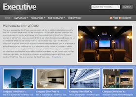 Executive Child Theme Executive Child Theme