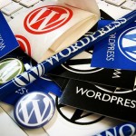 Difference Between Free and Paid WordPress Themes